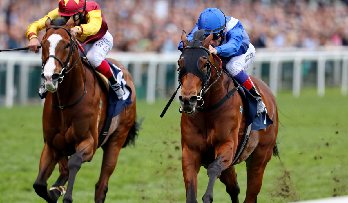 Quinté du 16 octobre - Prix des Landes à l'hippodrome de Saint-Cloud Pronostics, bases solides, outsiders et tocards